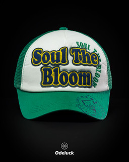 کلاه پشت تور تاجدار سبز و سفید برند چانگ لیم طرح Soul The Bloom
